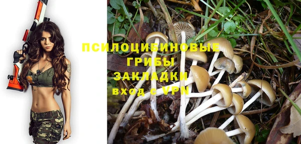 метадон Михайловка