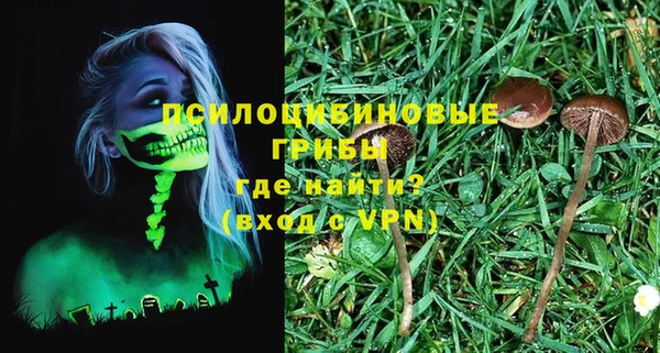 apvp Михайлов