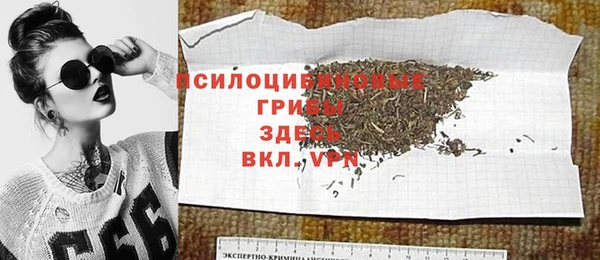 apvp Михайлов