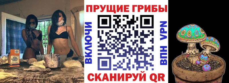 Галлюциногенные грибы GOLDEN TEACHER  Назрань 